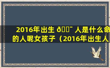 2016年出生 🐯 人是什么命的人呢女孩子（2016年出生人是什 🦋 么命的人呢女孩子怎么样）